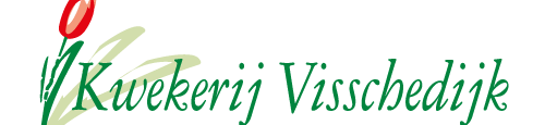 2021-02-27-02-Visschedijk-Logo-Website.png